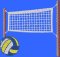 BFC32252 VOLLEY BALL