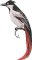 BFC32270 Red Bird - 9
