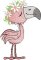 BFC32304 Quirky Flamingos