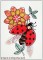 Ching Chou Ladybug