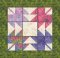 CCQ0461 -  POINTS Set 16 - Maple Leaf Quilt