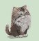 BFC32088 The Curious Cat