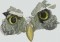 BFC1403 Large Pygmy Owl