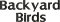 BFC1868 Backyard Bird Portraits