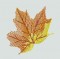 BFC0198 Lace Bowl-Autumn Leaves