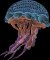 BFC2145 Psychedelic Jelly Fish