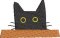 BFC2185 Cats in Hiding