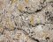 Landscape Pieces - Bricks and Such