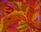 Landscape Pieces - Bright Leaves
