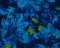 Landscape Pieces - Bright Leaves