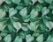 Landscape Pieces - Large Leaves 2