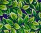 Landscape Pieces - Large Leaves 1