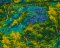 Landscape Pieces - Trees