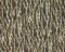 Landscape Pieces - Wood