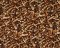 Landscape Pieces - Wood