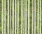 Landscape Pieces - Wood