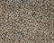 Landscape Pieces - Woven