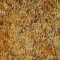 Landscape Pieces -Grasses 1