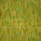 Landscape Pieces -Grasses 1