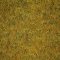 Landscape Pieces -Grasses 1