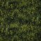 Landscape Pieces -Grasses 1