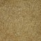 Landscape Pieces -Grasses 2