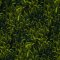 Landscape Pieces -Grasses 2