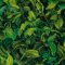 Landscape Pieces -Small Leaves