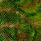Landscape Pieces -Small Leaves
