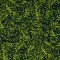 Landscape Pieces -Small Leaves