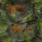 Landscape Pieces -Tropical Leaves