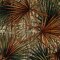 Landscape Pieces -Tropical Leaves