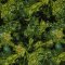 Landscape Pieces -Tropical Leaves