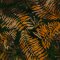 Landscape Pieces -Tropical Leaves