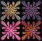 CCQ0490 - QI Aloha Set 1