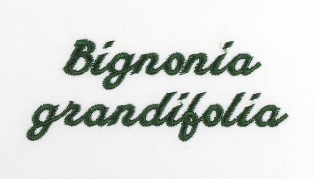 BFC0660 Botanical Prints