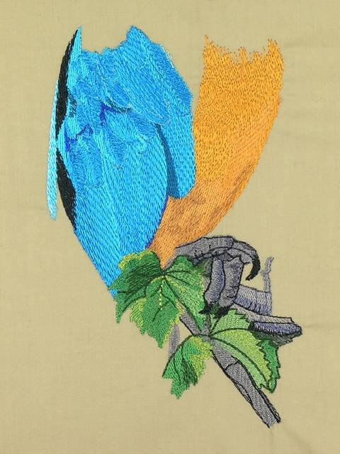 BFC1060 Large Blue and Gold Macaw