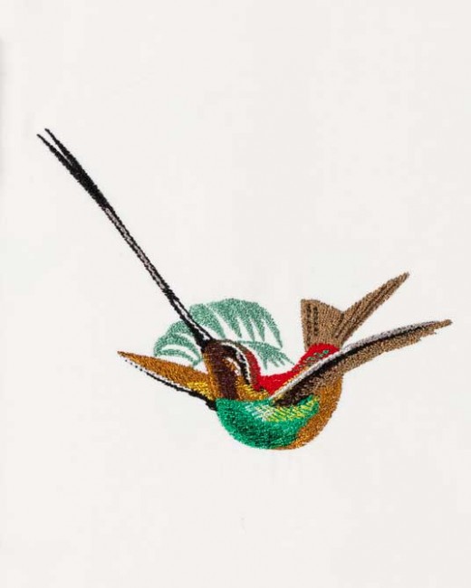BFC1182 Large Haeckels Hummingbird Fantasy