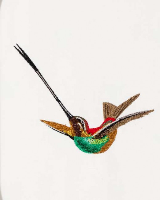 BFC1182 Large Haeckels Hummingbird Fantasy