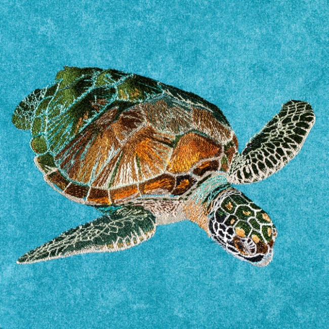 BFC1333 Sea Turtle Seascape