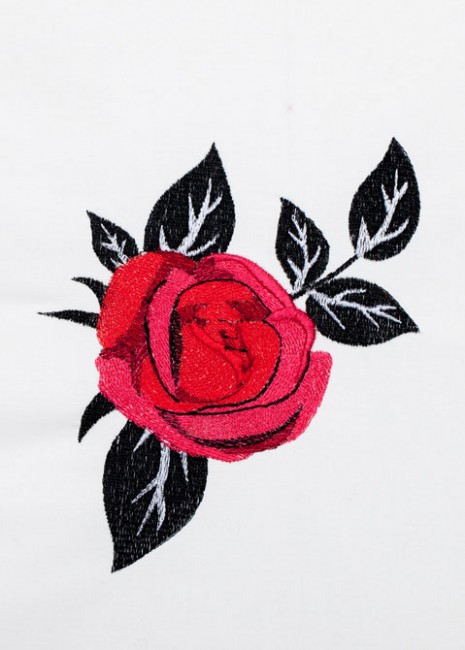 BFC1354 Red Roses - Black Scrolls
