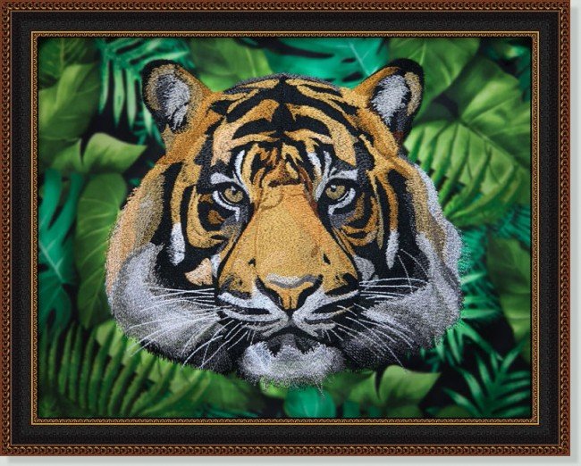 BFC31795 Tiger Portrait