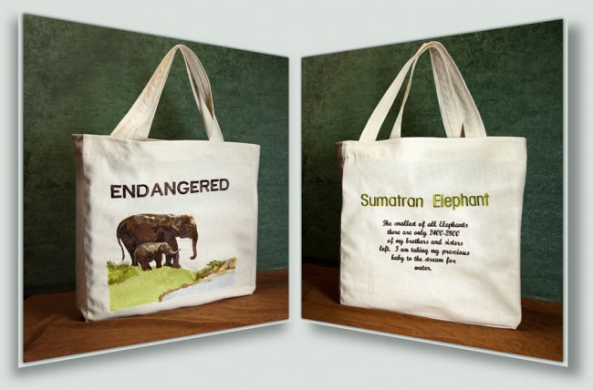 BFC1434 Endangered Species Series - Sumatran Elephant