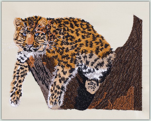 BFC1448 Endangered Species Series - Amur Leopard