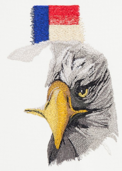 BFC1463 Large Eagle with American Flag