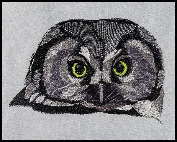 BFC1564 Four Black and White Owl Portraits