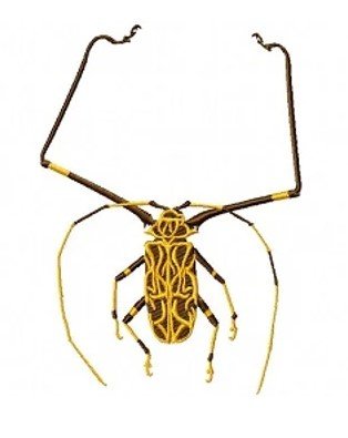 RMG160 Long Horn Beetle