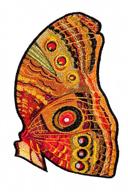 BFC1601 Stained Glass Eye Spot Butterflies