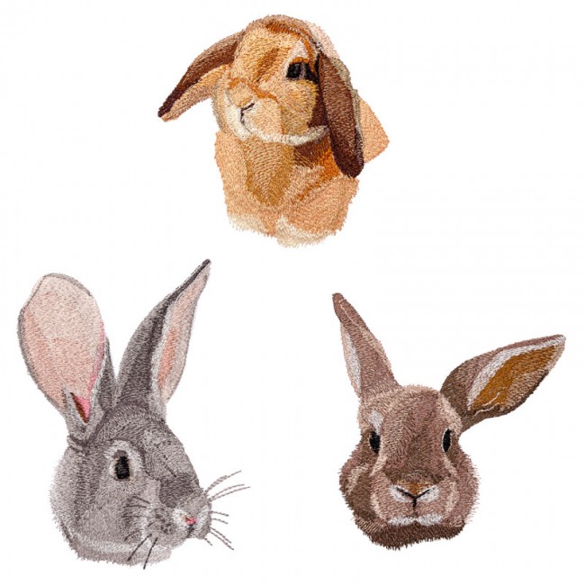 BFC1644 Three Bunny Portraits