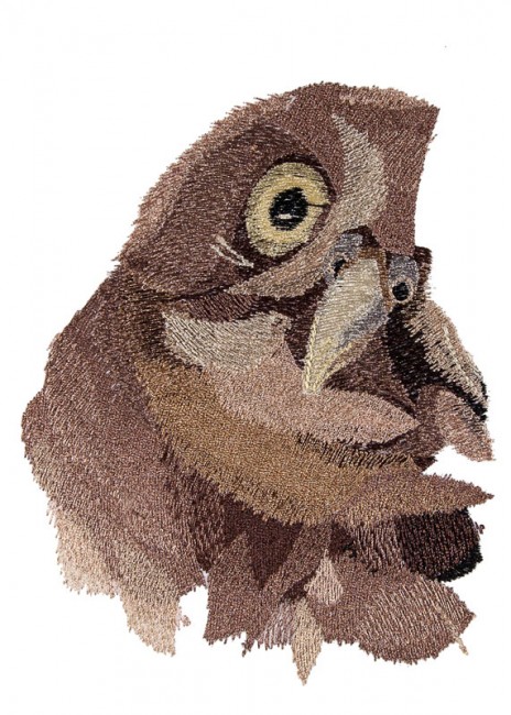 BFC1649 Large Baby Owl